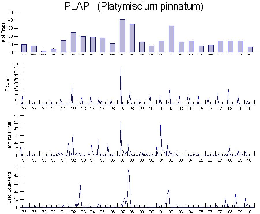 Platymiscium pinnatum image