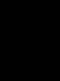 Casearia membranacea image